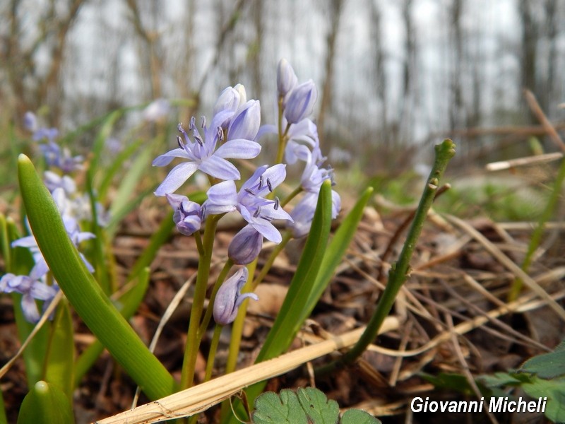 Parco del Ticino 21.3.15